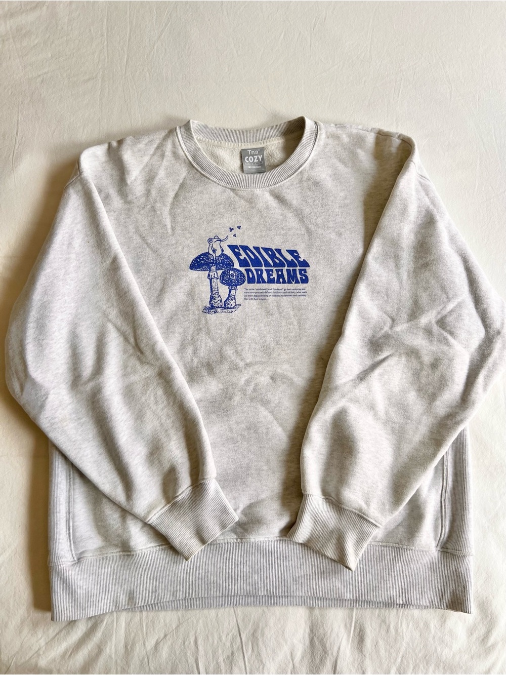 Aritzia TNA Cozy Boyfriend'Edible Dreams' Graphic Crewneck - rare!